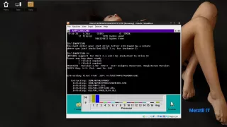 High Performance File System 386
