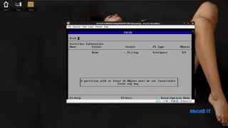 OS/2 FDISK Part. at least  20 MBytes set Installable