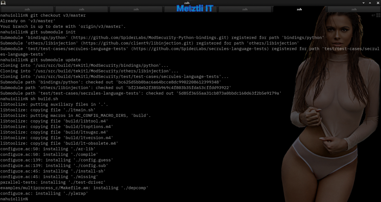 Nginx at Metztli IT: ModSecurity v3 module, Engine X v1.15.9, and libmodsecurity3 Connector, Integrated Hack.