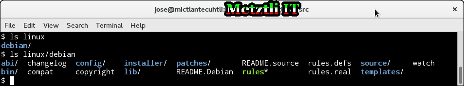 Building A Reiser4-Patched Development Linux Kernel Package 'The Debian Way'.