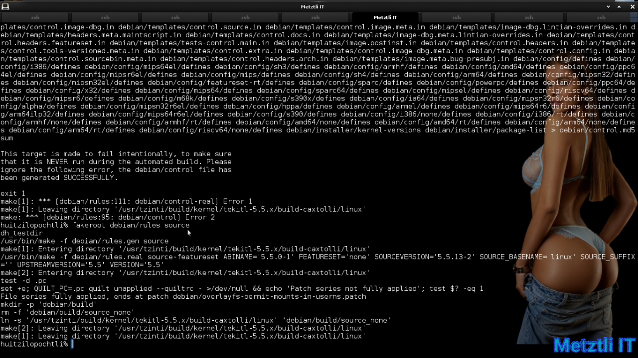 Exposing Hacks for ZSTD -compressed Metztli Reiser4 / Debian Buster bps Linux 5.5.caxtolli∙omome and initramfs