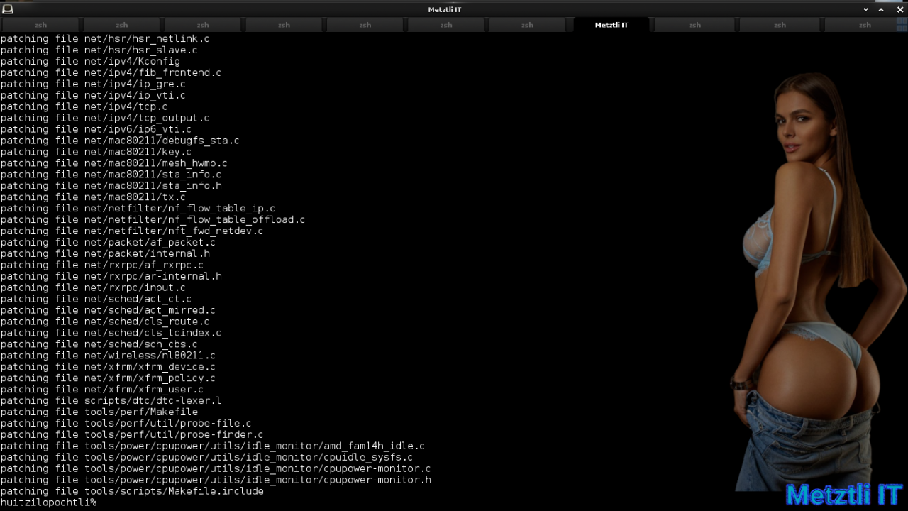 Exposing Hacks for ZSTD -compressed Metztli Reiser4 / Debian Buster bps Linux 5.5.caxtolli∙omome and initramfs