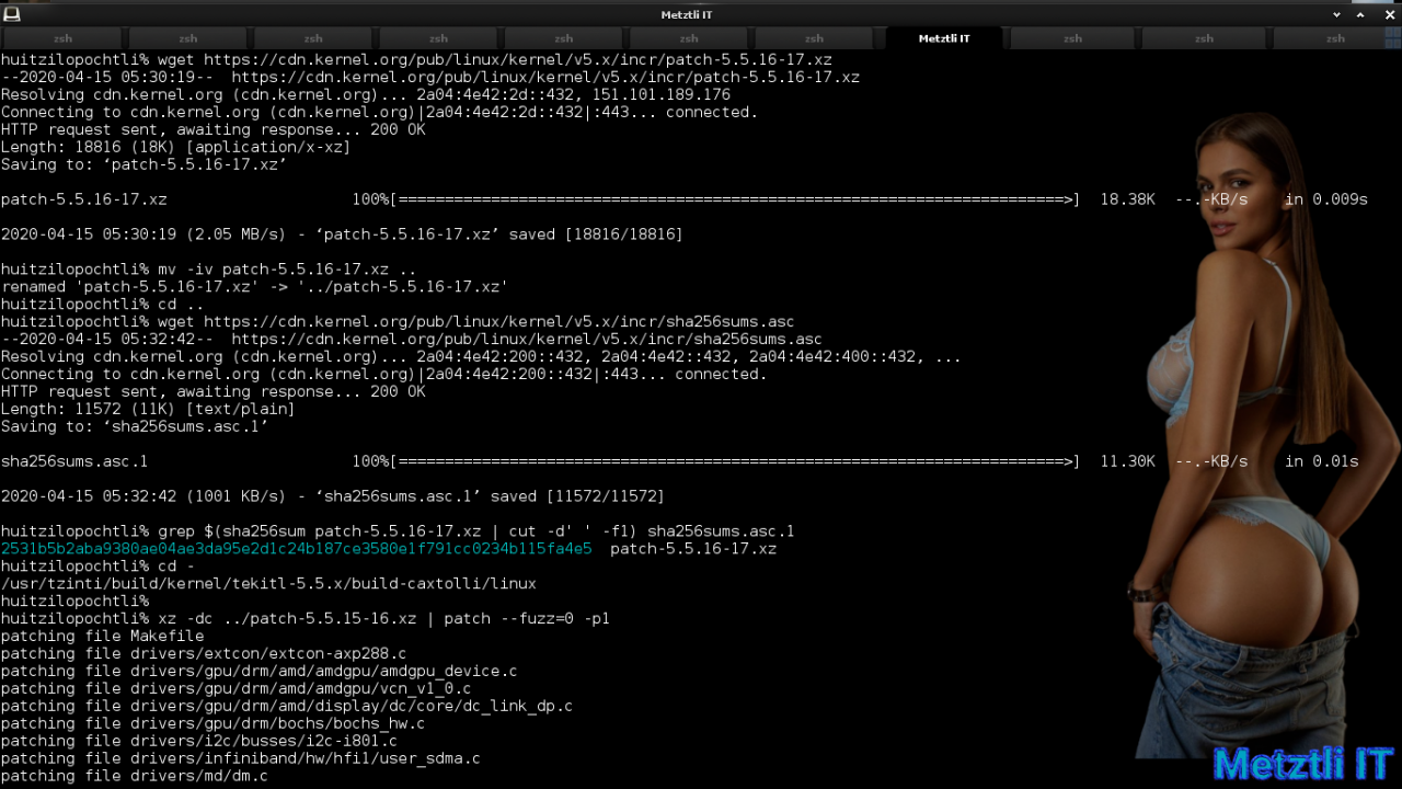 Exposing Hacks for ZSTD -compressed Metztli Reiser4 / Debian Buster bps Linux 5.5.caxtolli∙omome and initramfs