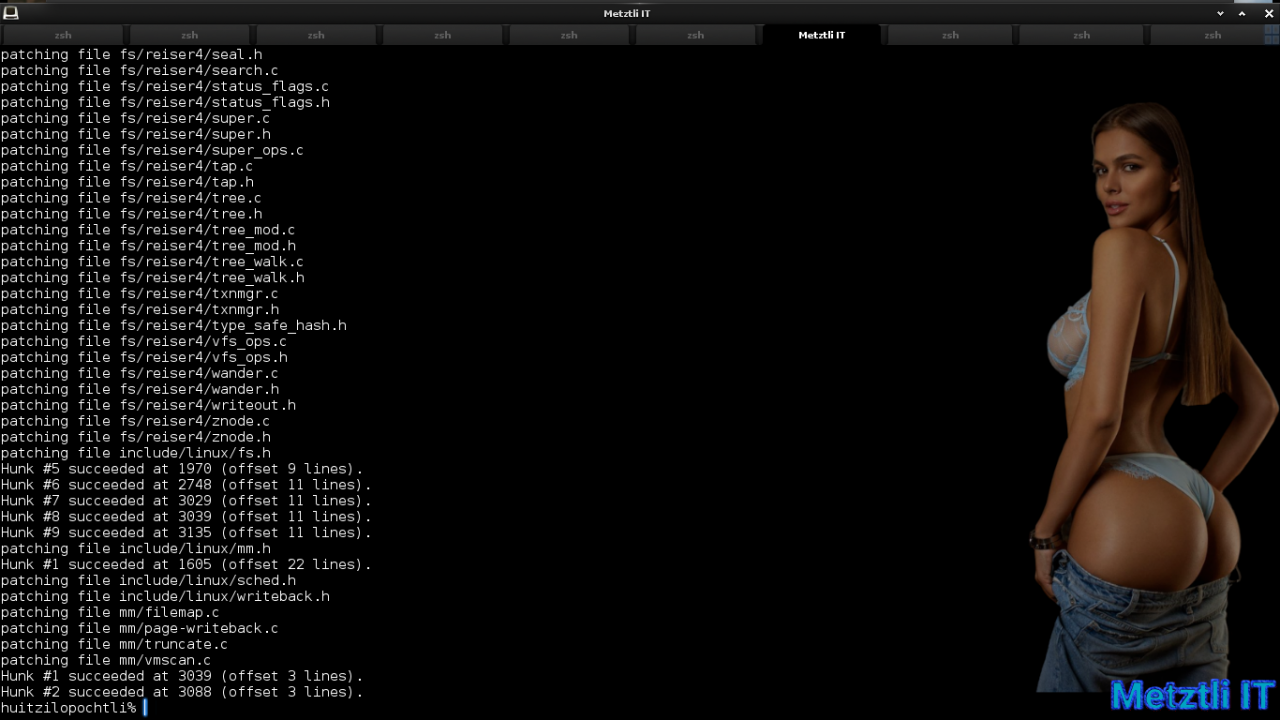 Exposing Hacks for ZSTD -compressed Metztli Reiser4 / Debian Buster bps Linux 5.5.caxtolli∙omome and initramfs