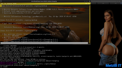 Exposing Hacks for ZSTD -compressed Metztli Reiser4 / Debian Buster bps Linux 5.5.caxtolli∙omome and initramfs