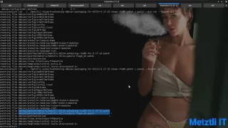 Applying reiser4 -enhanced Debian Packaging patch