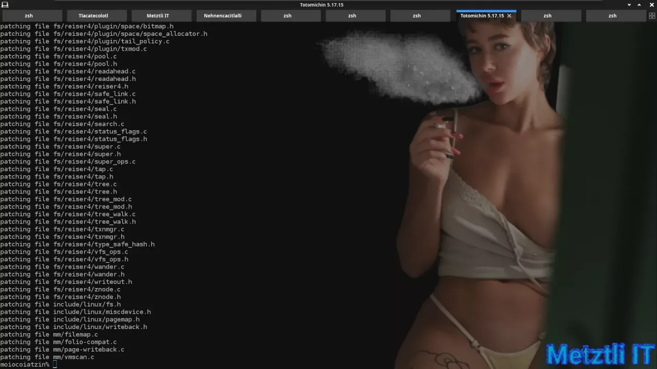 reiser4 patch on kernel src tree done