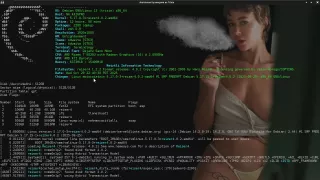 Metztli Reiser4 GCC14 / Debian Trixie AMD64